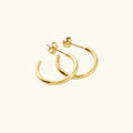 Hoop Aura Earrings